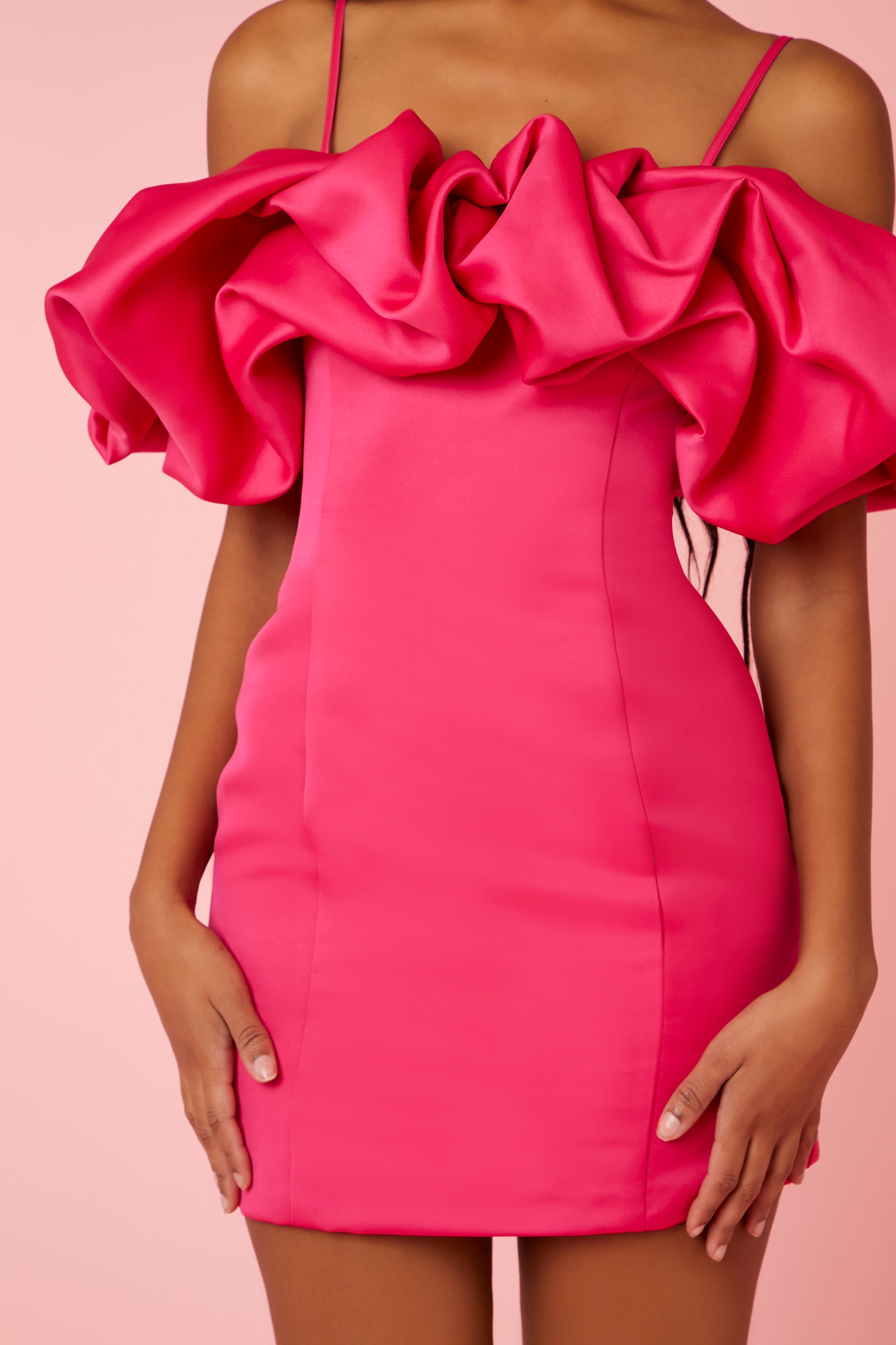 Hibiscus Ruffle-Trim Mini Dress 2